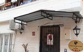 金鸡旅舍